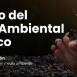 Artículo: El Misterio del Impacto Ambiental del Tabaco